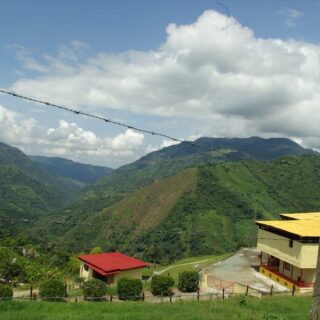 Kolumbia Quindio Finca Palmichal - Kawa Speciality