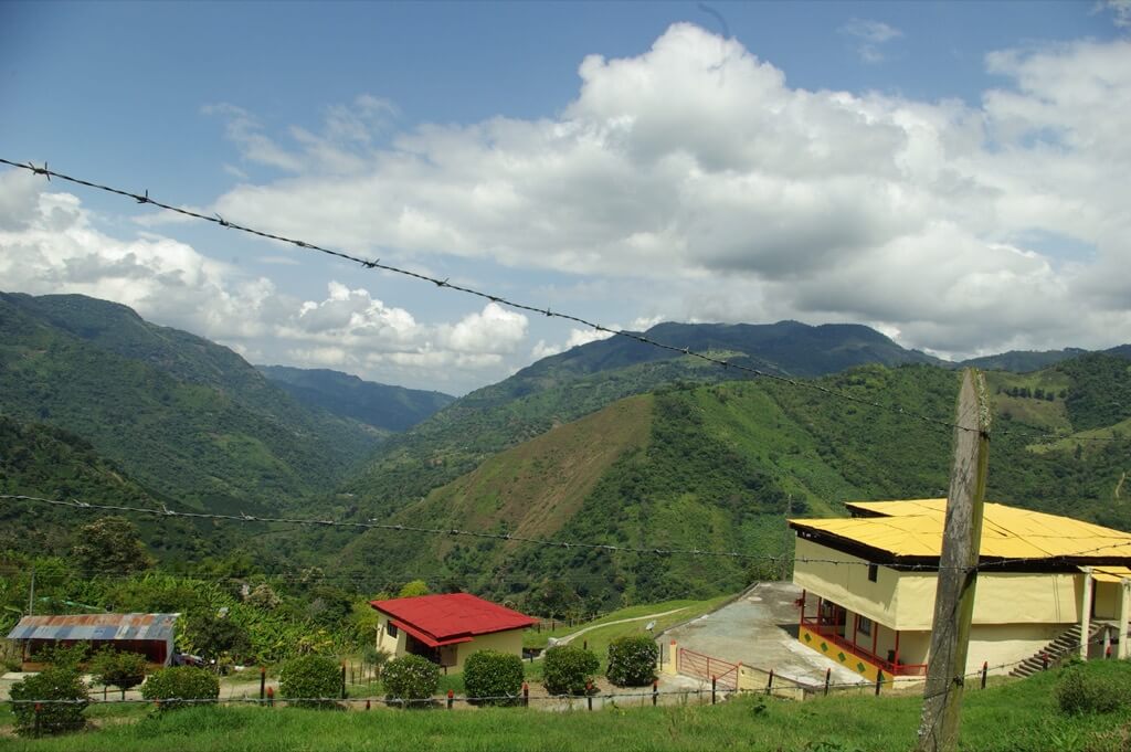 Kolumbia Quindio Finca Palmichal - Kawa Speciality