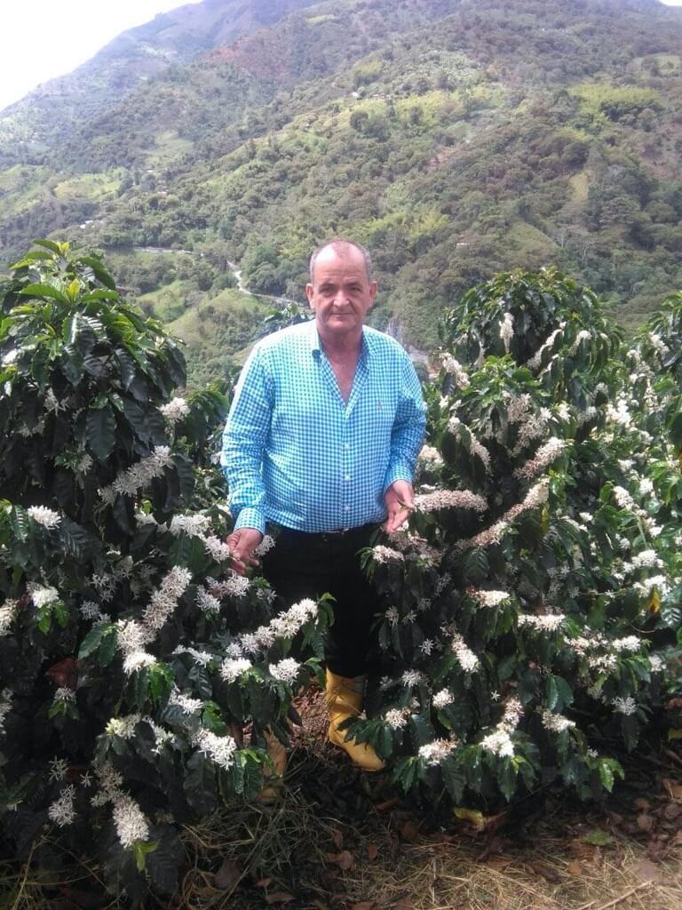 Kolumbia Quindio Finca Palmichal - Kawa Speciality