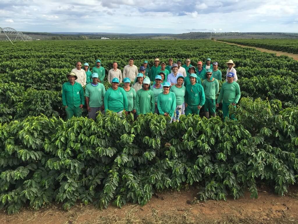 Kawa ziarnista Brazylia Cerra do Cabral
