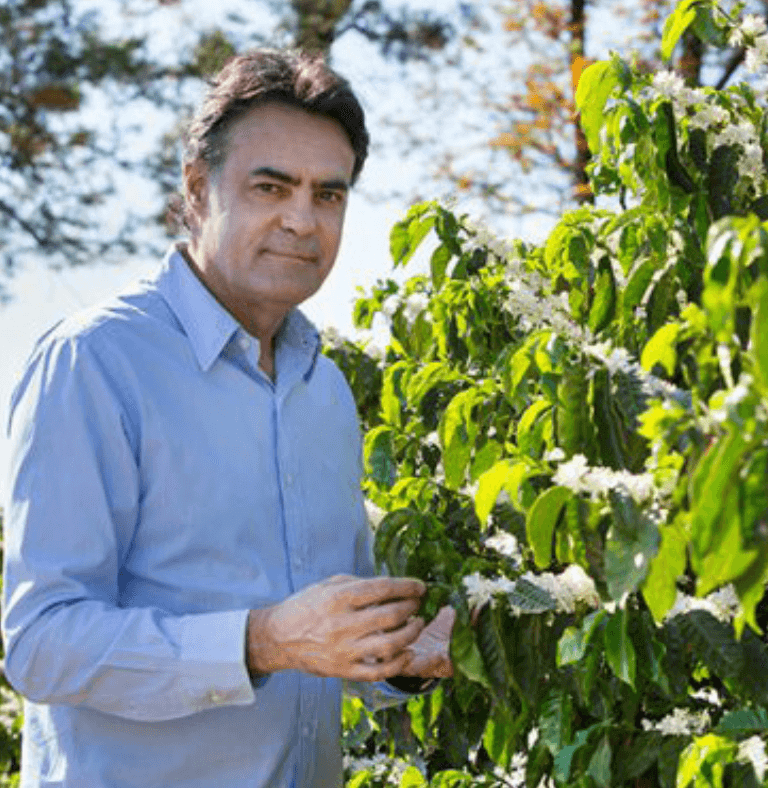 Kawa ziarnista Caramelo Doce