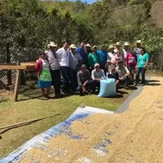 Kawa z Hondurasu Guara Verde