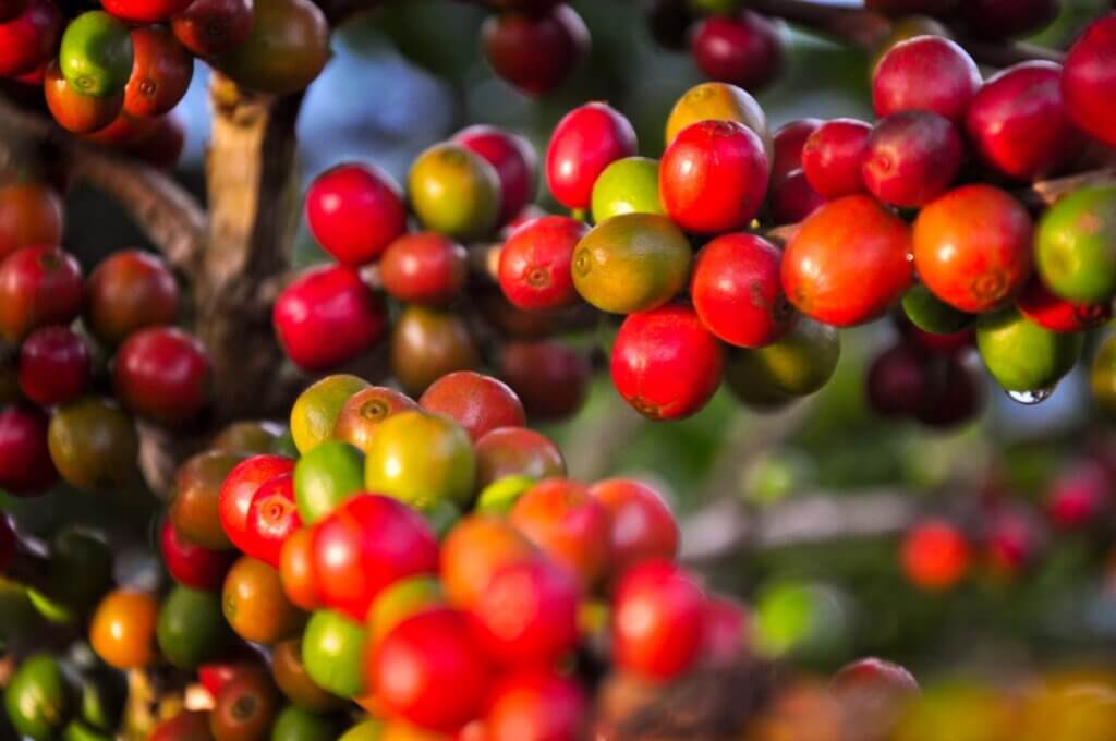 Costa Rica San Rafael