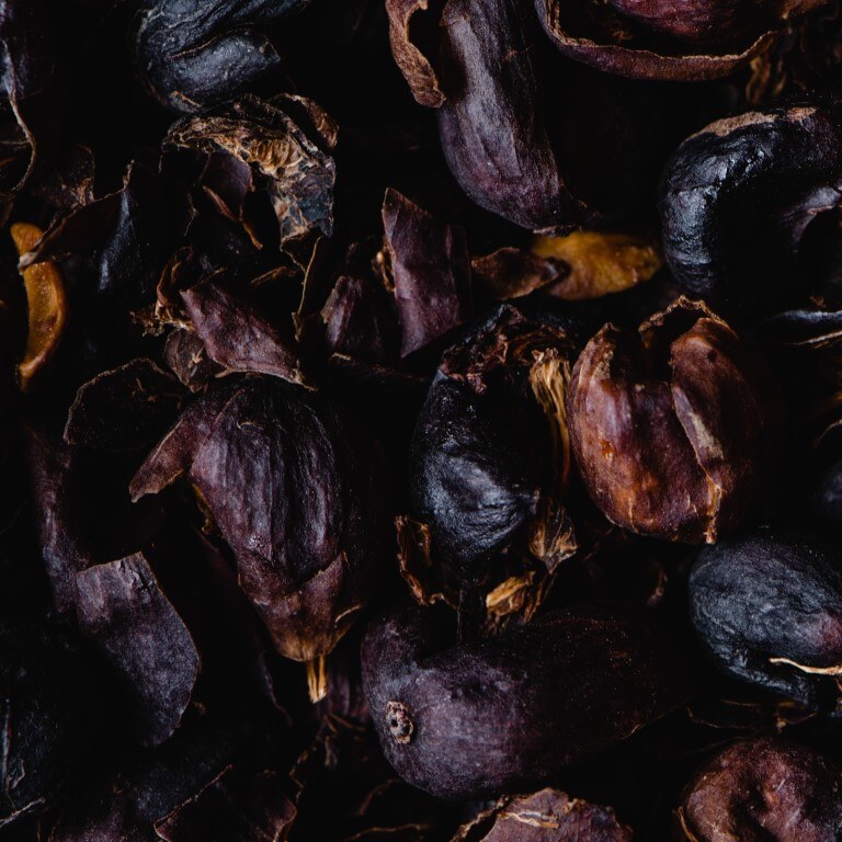 Cascara