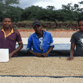 Zambia Kachipapa Farm