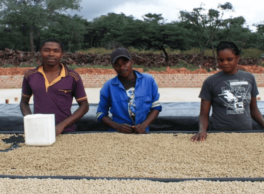 Zambia Kachipapa Farm