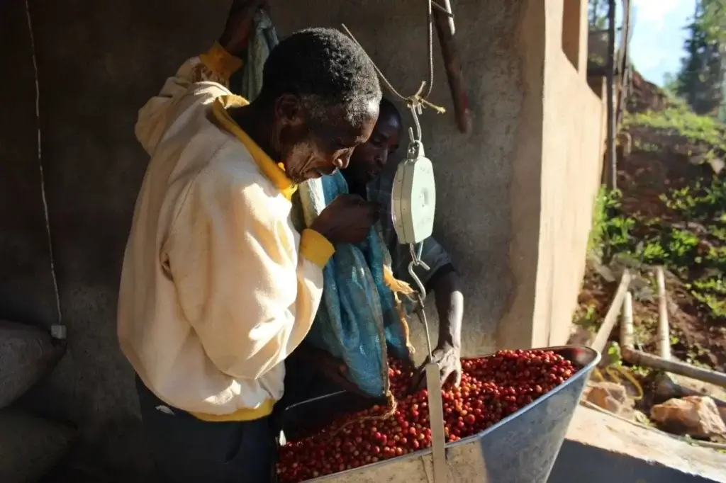 Burundi kawa ziarnista