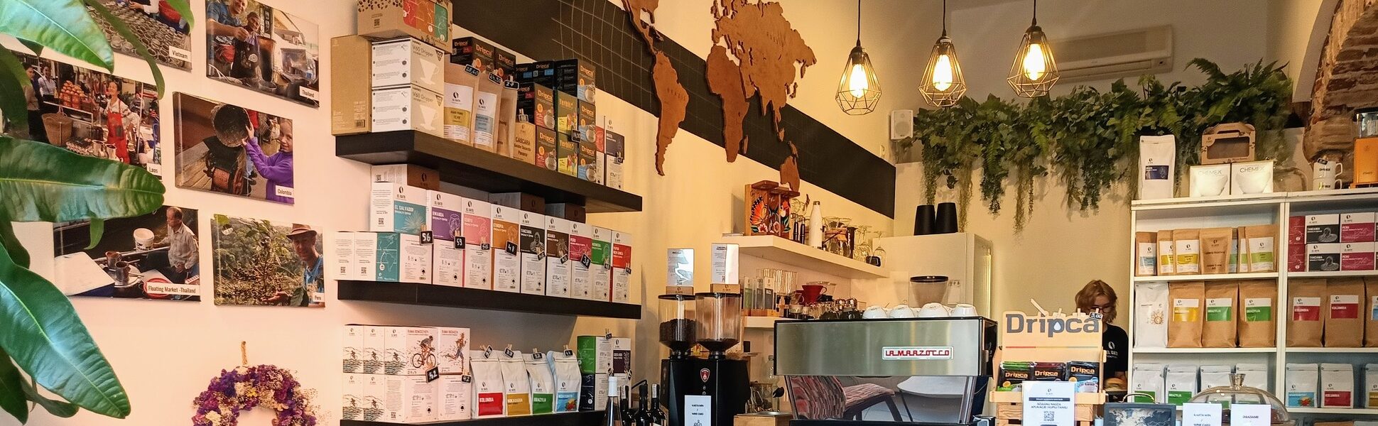 El Gato Wrocław Odrzańska